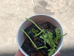 -黑色经典臭豆腐·湖南特产(步行街店)