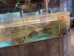 -丹江渔村(首都机场店)