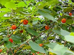 -北京西山国家森林公园