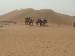-银肯塔拉沙漠生态旅游景区