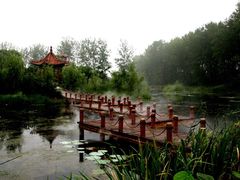 -微山湖红荷湿地景区