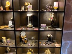 -雪灵魔法世界SHELLY’S TAROT(大良桂畔里店)