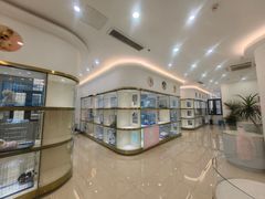 -南京宠物基地·宠物狗宠物猫售卖(南京店)