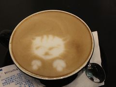 -萌喵宠狗爱心宠咖