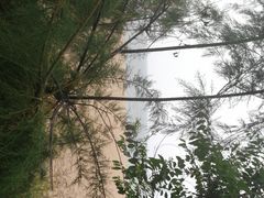 -北戴河东海水浴场