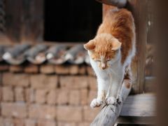 -田德能咖啡博物馆