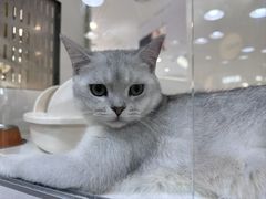 -乐宠宠物店(世纪金源店)