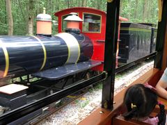 -合肥滨湖国家森林公园