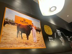 -潮发潮汕牛肉店(东方宝泰店)