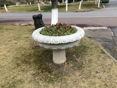 -艾溪湖湿地公园