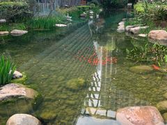 -活水公园