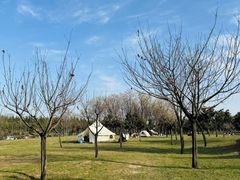 -洨河生态公园