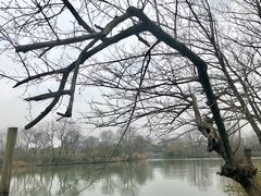 -木守西溪溪隐餐厅