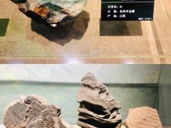-甘肃地质博物馆