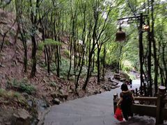 -普陀山风景区-佛顶山