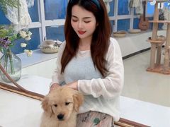 -共舞时光猫咖·狗咖(新街口店)