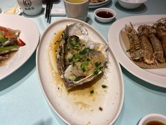 -高佳庄·舟山海鲜(海景旗舰店)