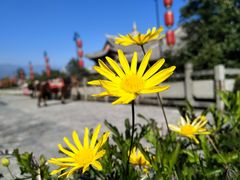 -天龙八部武侠城