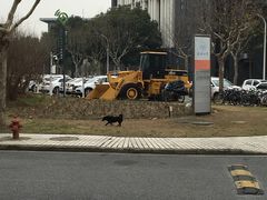 -同济大学(嘉定校区)