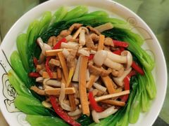 -田螺阿姨自营月嫂·育儿嫂(高新店)