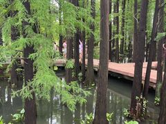 -东湖落雁景区