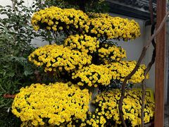 -杭州植物园