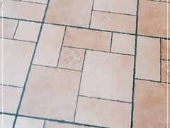 -潮汕良心果汁(金新北路店)