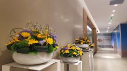 点击看大图 -菜百首饰(北京SKP店)