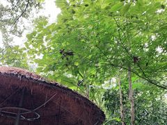 -一江春水·杭帮臻宴(三台山店)