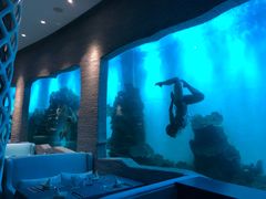-瑞德姆美人鱼海底演艺主题餐厅(亚龙湾店)