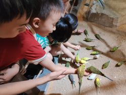 -酷嗒动物文化乐园(cutezoo西溪乐天城店)