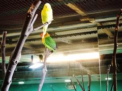 -上海大自然野生昆虫馆(东方明珠·爬宠昆虫探索中心)