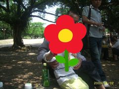 -四海公园(南山区)