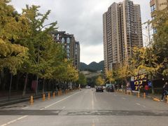 -虎焱炭火烧肉