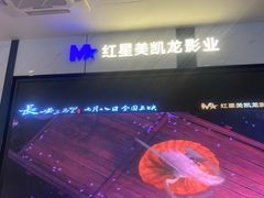 -红星电影世界开元地中海店(RealD杜比全景声)