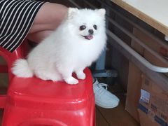 -汪记鲜鱼糊汤粉(沈阳路总店)