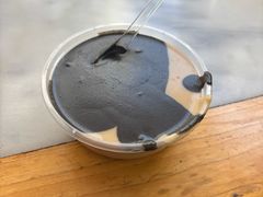 -芝麻糊世家(西华店)