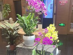 -黔蘑菇四季餐厅(观山湖店)