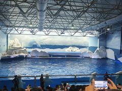 -秦皇岛乐岛海洋王国