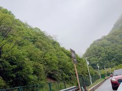 -大九湖
