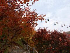 -周口店坡峰岭风景区