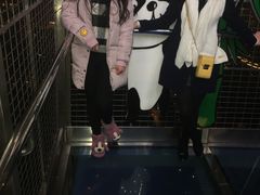 -339旋转餐厅(天府熊猫塔店)
