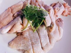 吃稻谷文昌鸡-千岛蚝高压锅生蚝·人参火锅(白云万达店)