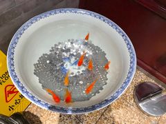 -海碗居老北京炸酱面(增光路店)