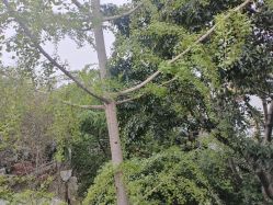 点击看大图 -莲生母婴月子中心(清水河公园店)
