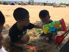 -碧海金沙