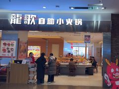 -龍歌自助小火锅(市南金茂湾店)