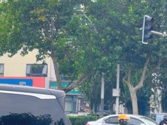 -直隶安家牛肉罩饼(七一路店)