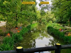 -上海共青森林公园