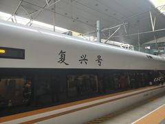 -真素诚(玉泉路总店)